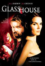 Glass House The Good Mother 2006 Dual Audio Hindi 480p Mp4Moviez