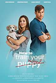 How To Train Your Husband 2017 Hindi Dubbed Mp4Moviez