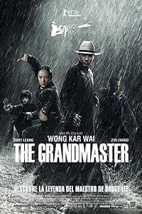 The Grandmaster 2013 Hindi Dubbed Chinese English 480p 720p 1080p Download Mp4Moviez