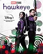 Hawkeye All Seasons Hindi 480p 720p HD Download Mp4Moviez  Filmywap